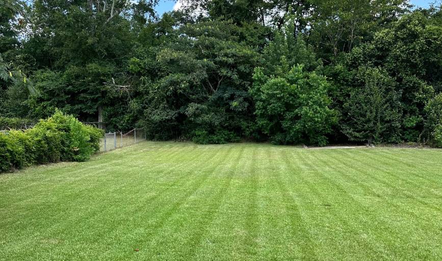 Leiva Landscaping